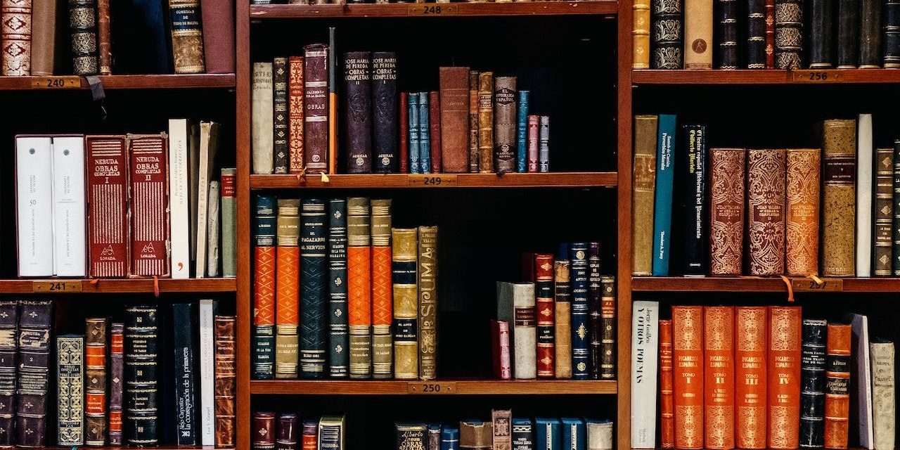 inaki-del-olmo-602632-unsplash